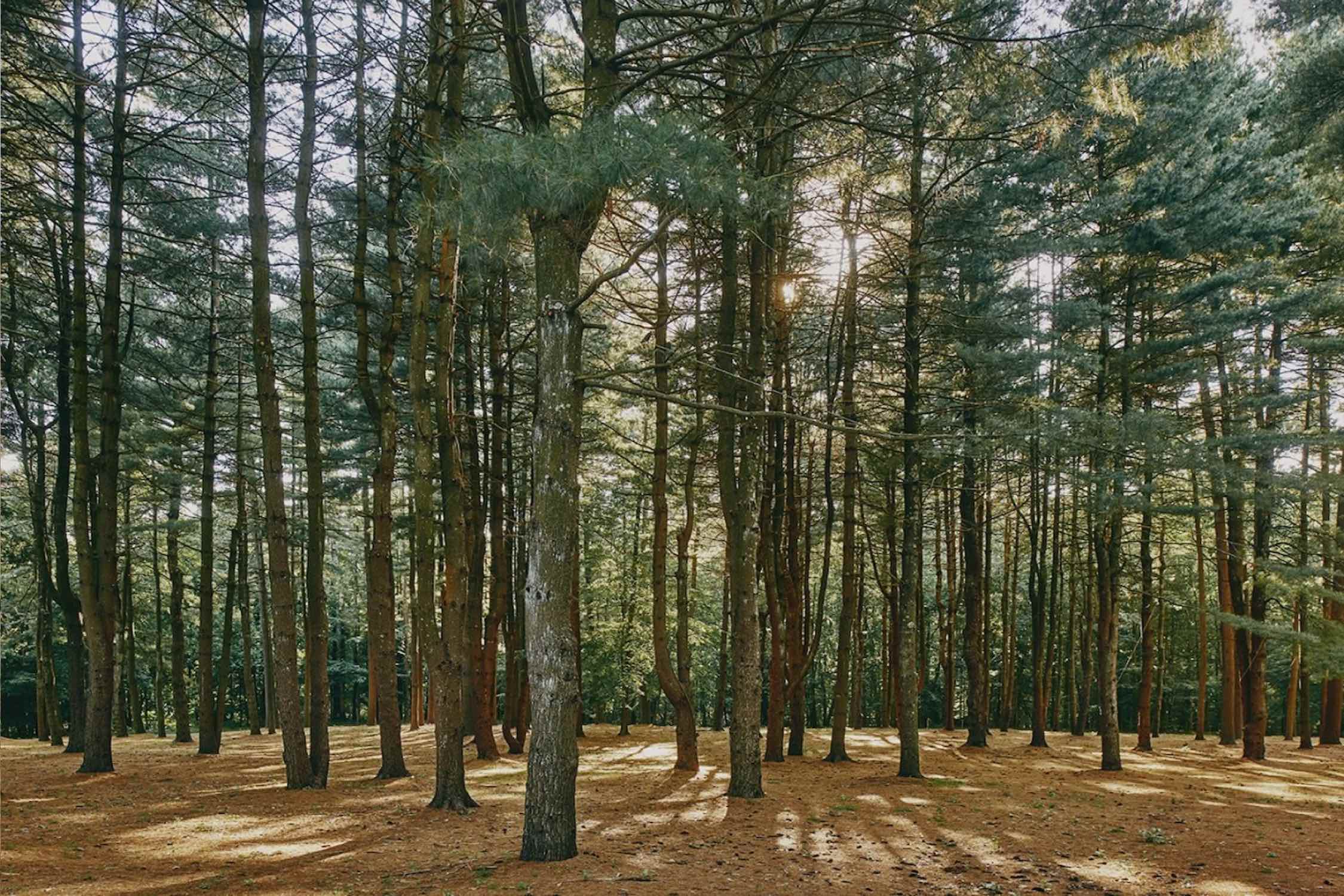 Streamline Your Business Processes